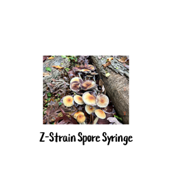 Z-Strain 10cc Spore Syringe - SS08