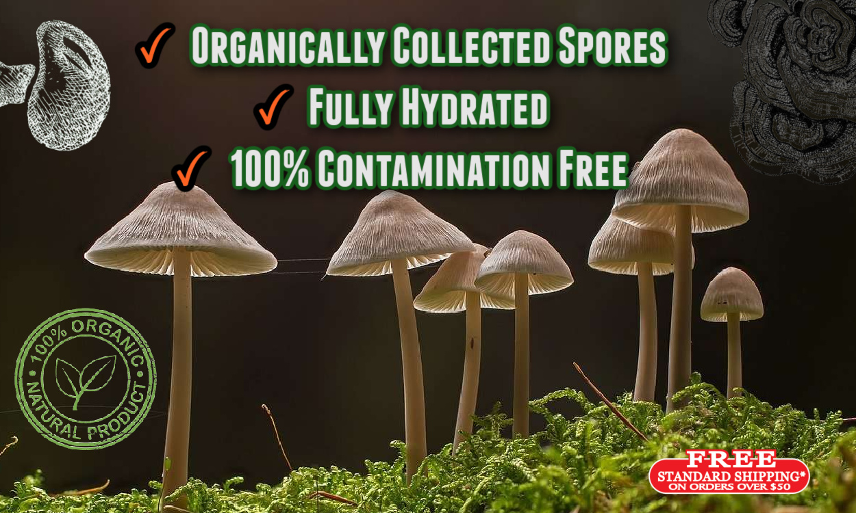 FULLY HYDRATED ORGANICALLY COLLECTED magic psilocybin mushroom SPORES 100% CONTAMINATION FREE