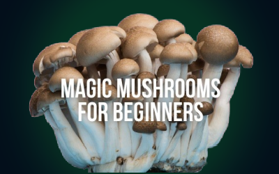 Mushrooms for Beginners