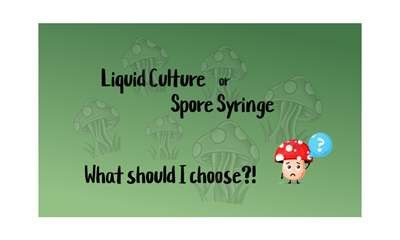 Differences Between a Spore Syringe and Liquid Culture Syringe