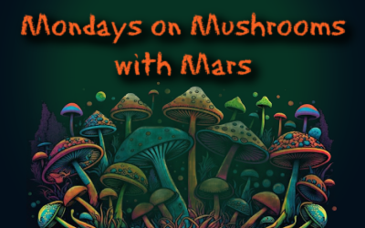 Mushroom Monday