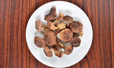 4 Mushrooms That Can Boost Your Immune System