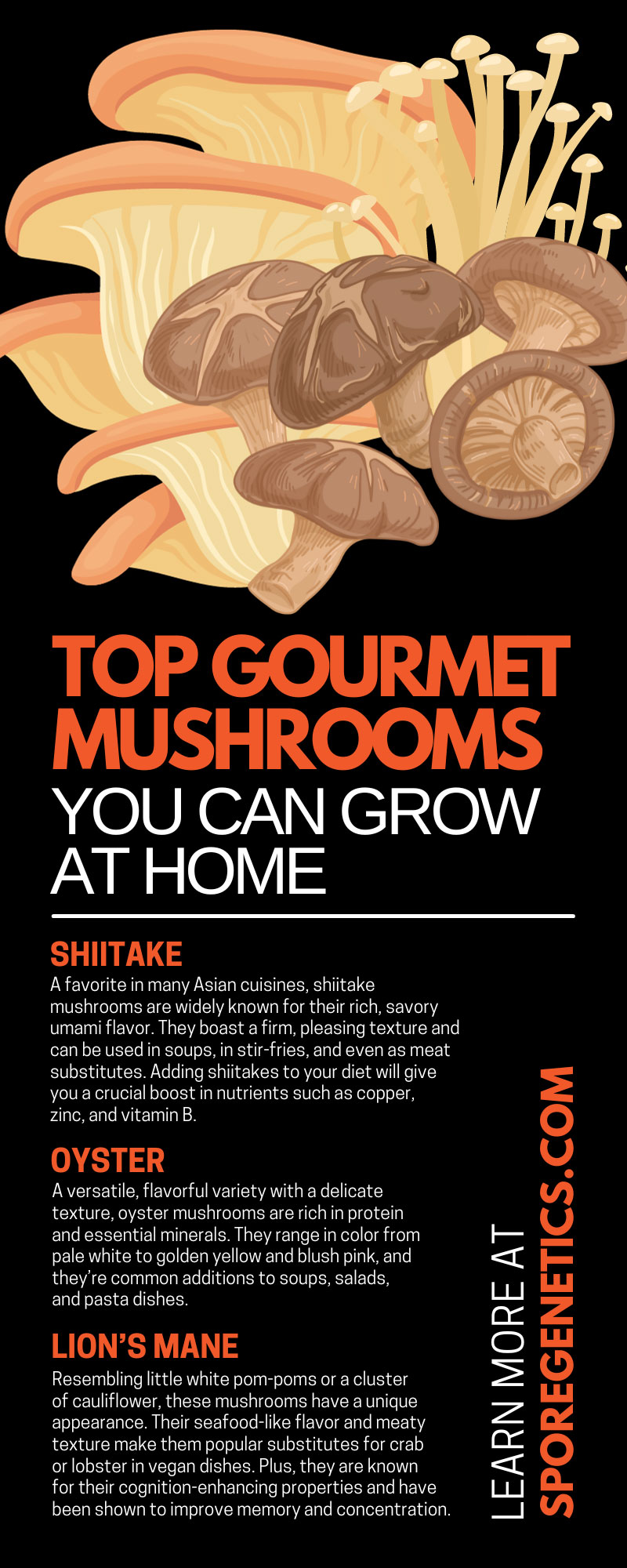 Top 8 Gourmet Mushrooms You Can Grow at Home